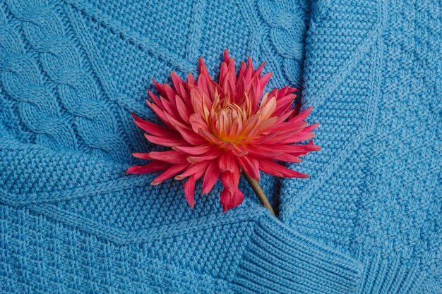 Modello del primo piano tricottato variopinto dei maglioni. Prodotto fatto a mano in lana merino. Una pila di abiti piegati con fiori.