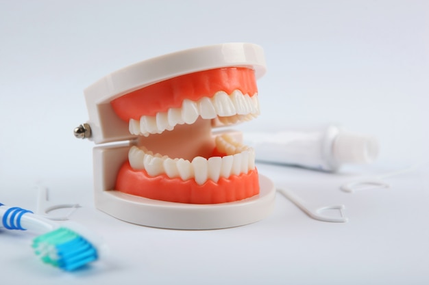 Modello dentale di denti e prodotti per la cura dei denti su sfondo colorato