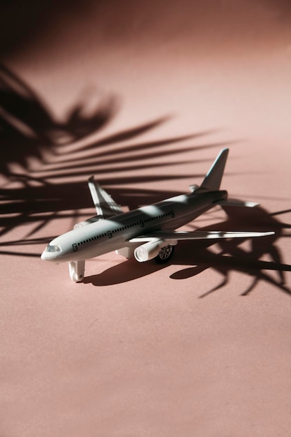 Modello di aeroplano con concetto di viaggio all'ombra del ramo di palma