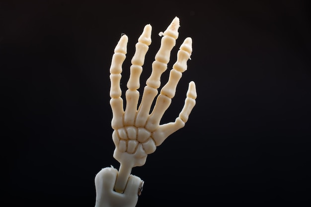 Modello di anatomia della mano dello scheletro umano Concetto di clinica medica