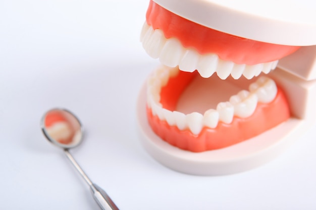 Modello di denti e strumenti odontoiatrici e prodotti per la cura dei denti