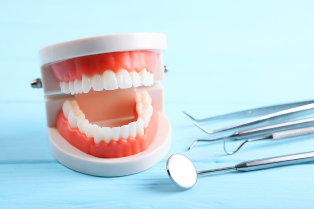 Modello di denti e strumenti odontoiatrici e prodotti per la cura dei denti