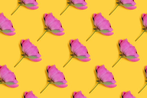 Modello di fiori di peonia su sfondo giallo Disposizione creativa