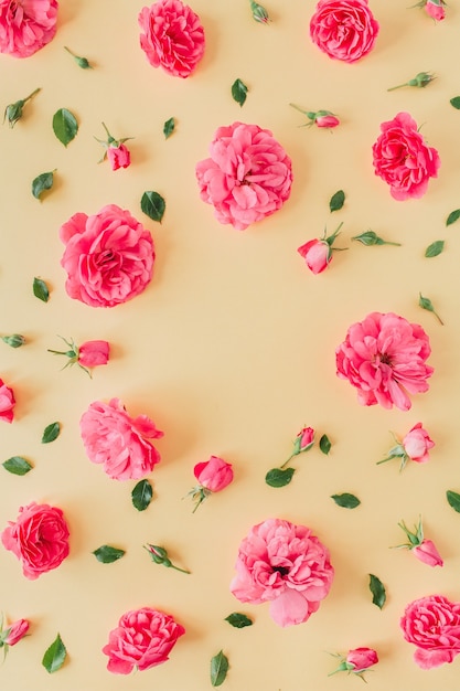 Modello di fiori di rosa rosa su giallo