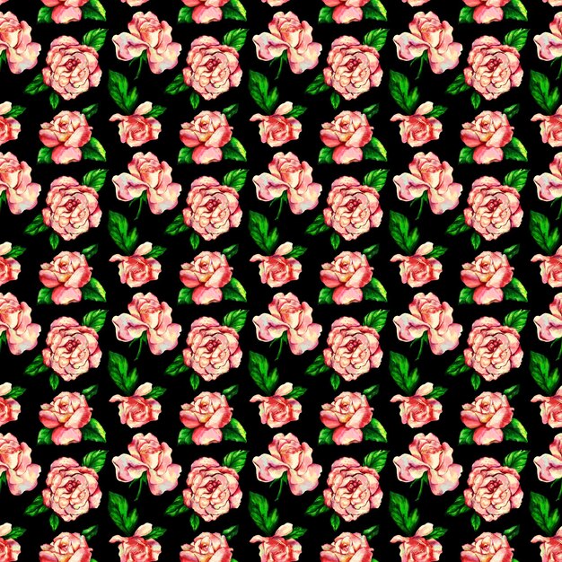 Modello di fiori di rosa rosa