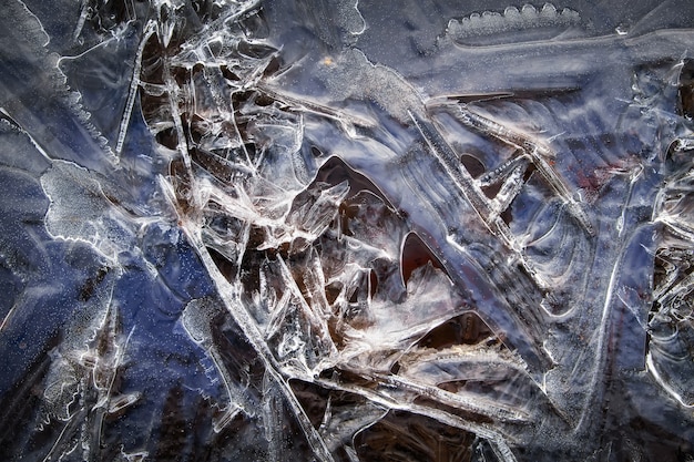 Modello di ghiaccio del primo piano nella pozzanghera. Sfondo invernale