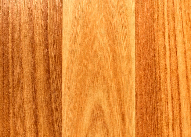 Modello di legno