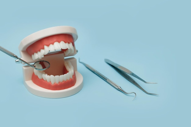 modello di mascella con strumenti dentali su sfondo blu