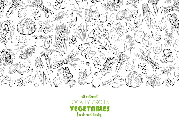 Modello di mercato agricolo disegnato a mano con illustrazione di contorni vettoriali di verdure Doodle salutari