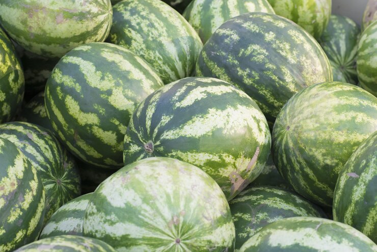 Modello di molte angurie verdi. Sfondo agricolo