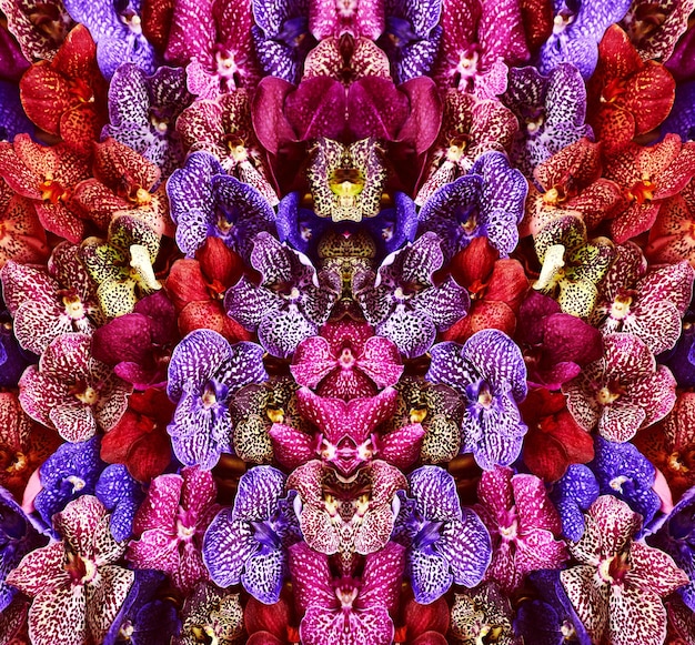 modello di orchidee colorate Concetto di stile di moda floreale