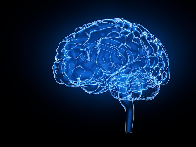 Modello di radiografia cerebrale vista laterale isolata su sfondo nero