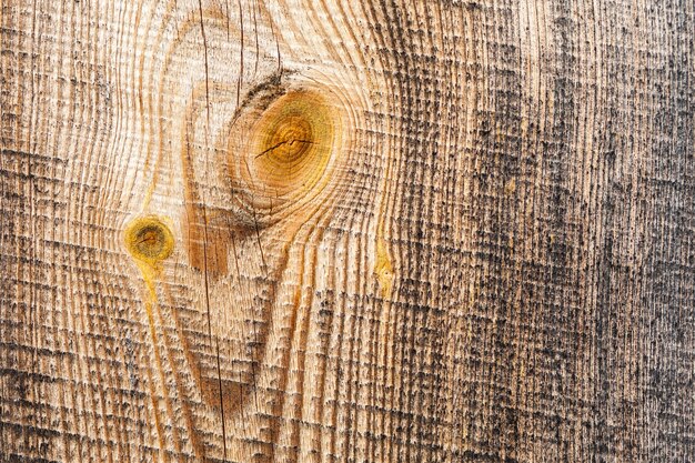 Modello di sfondo dell'albero di struttura di legno che mostra gli anelli di crescita