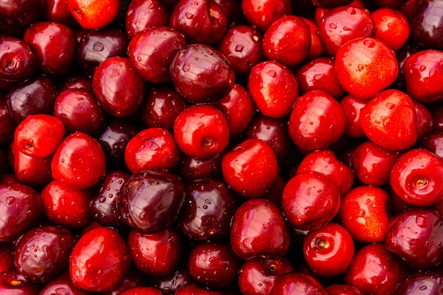 Modello di struttura della ciliegia del fondo della frutta della ciliegia