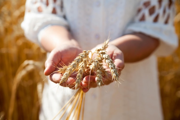 Modello femminile caucasico nei suoi anni '60 a piedi attraverso il campo di grano Primo piano di handsxDxA