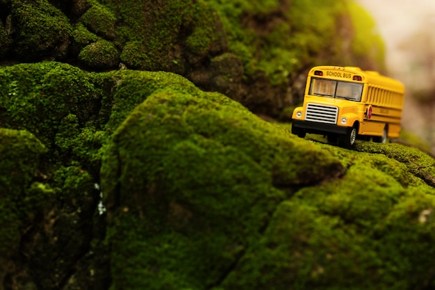 Modello giallo del giocattolo dello scuolabus che passa la montagna coperta di muschio verde.