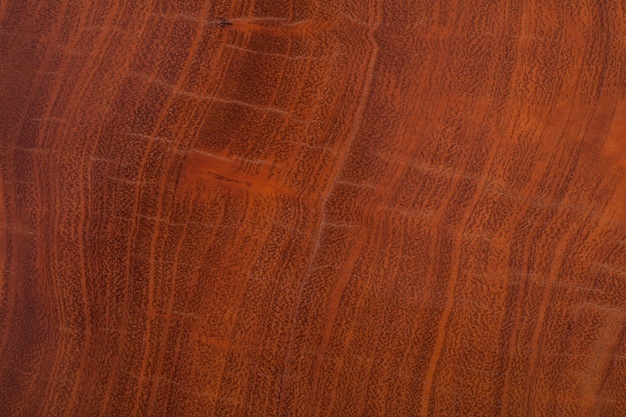 Modello in legno rosso della superficie