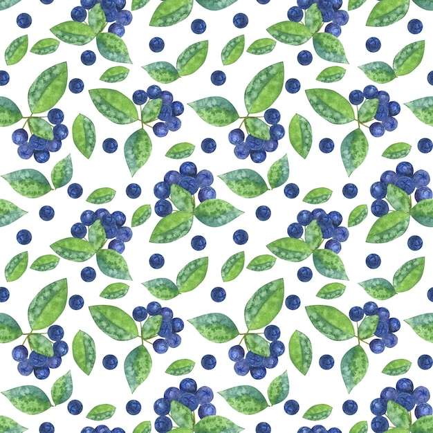 Modello infinito senza cuciture chokeberry aronia berry foglie verdi Disegno botanico Illustrazione dell'acquerello disegnata a mano su sfondo bianco