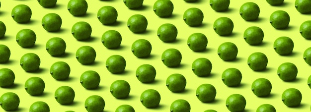 Modello Limes su sfondo verde chiaro,