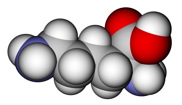 Modello molecolare che riempie lo spazio della lisina di aminoacidi