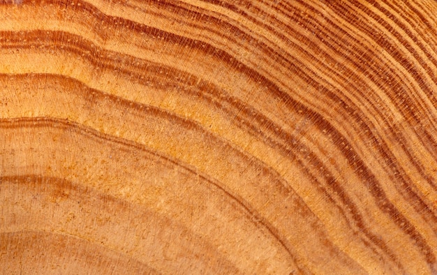 Modello naturale di struttura in legno di teak per lo sfondo