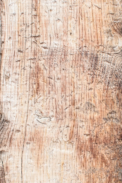 Modello o struttura della corteccia di legno vecchio della natura. Vecchio albero ruvido, fondo di legno naturale marrone. Avvicinamento.
