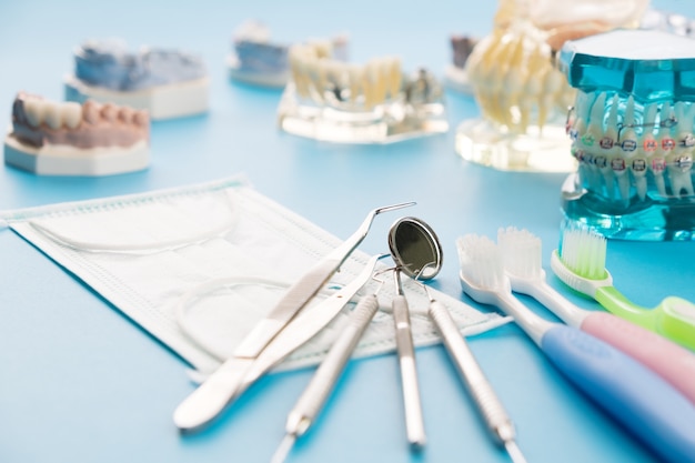 Modello ortodontico e strumento dentista - modello di denti dimostrativi di varietà di ortodonzia
