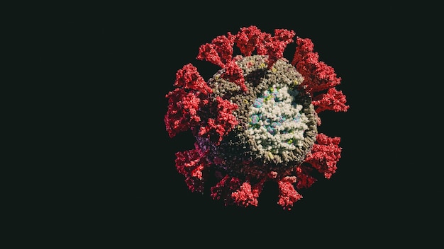 Modello scientifico accurato ultrarealistico del virione del coronavirus. Grafica 3D di particelle di virus SARS-CoV-2 COVID-19