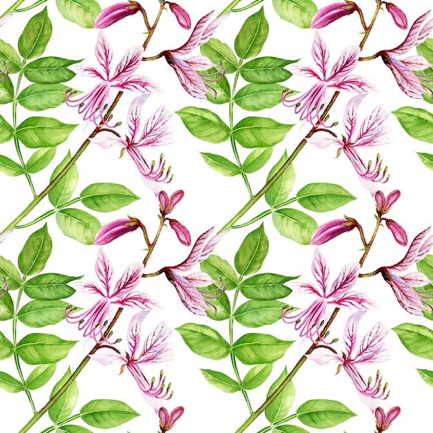 Modello senza cuciture con boccioli di rutaceae fiore acquerello foglie fiori rosa schizzo disegnato a mano