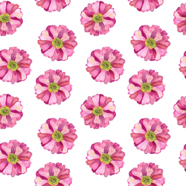 Modello senza cuciture con fiore rosa sul muro bianco. Illustrazione dell'acquerello disegnato a mano.