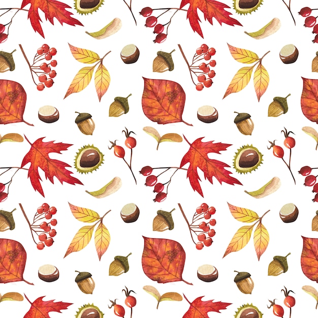 Modello senza cuciture con foglie di autunno, per la decorazione del design autunnale e per scrapbooking.