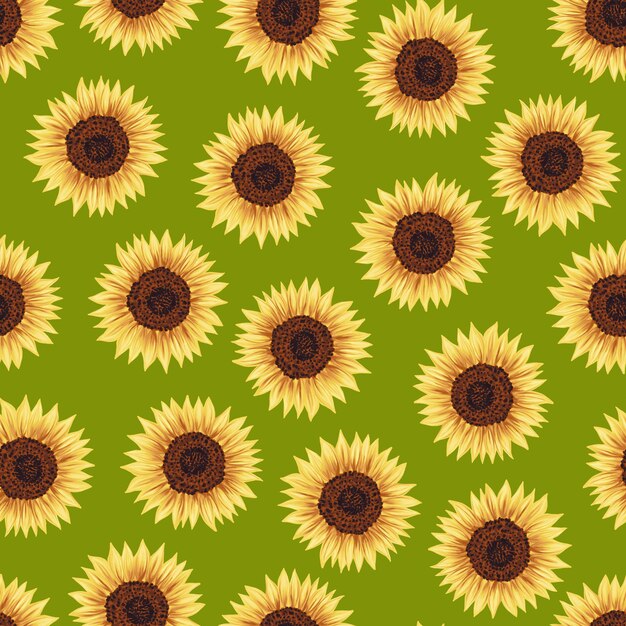 Modello senza cuciture con girasoli Vividi fiori gialli su sfondo verde Disegno botanico floreale