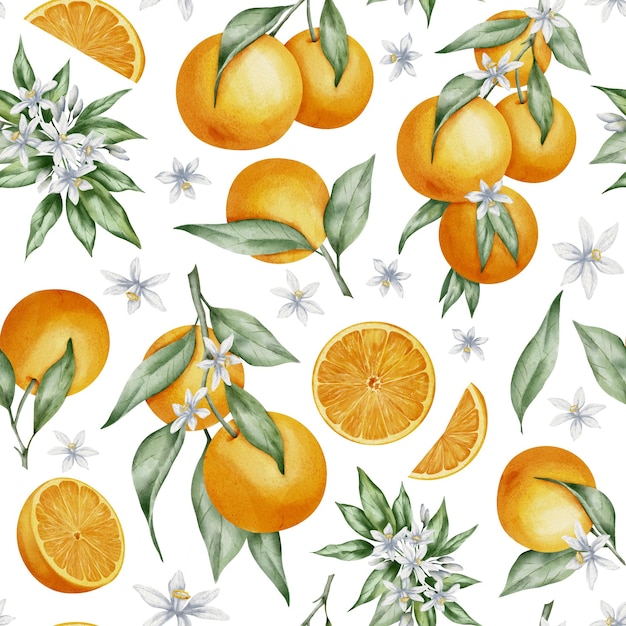 Modello senza cuciture con rami di frutta arancione foglie verdi e fiori Illustrazione dell'acquerello disegnato a mano di cibo di agrumi per carta da imballaggio o design tessile Stampa su sfondo bianco isolato