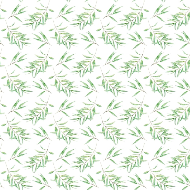modello senza cuciture verde acquerello foglie di ramo di olivo greenery