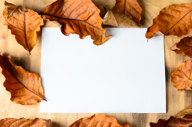 Modello. Un foglio di carta bianco su una superficie di legno, circondato da foglie autunnali e pietre bianche. Messa a fuoco selettiva.