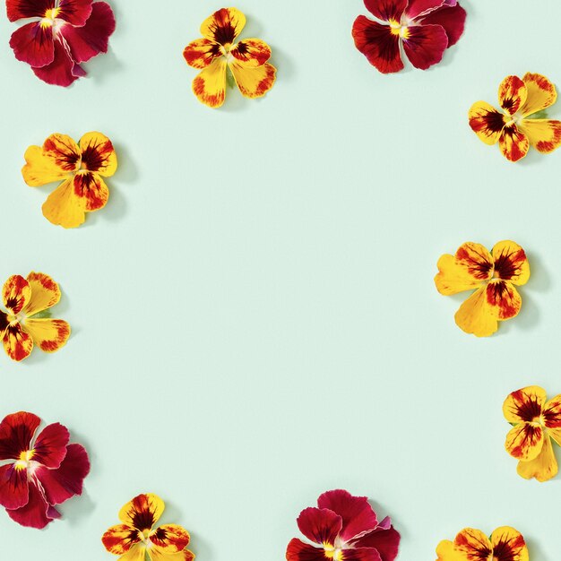 Moderna cornice floreale con fiori gialli e rossi viola del pensiero, piccolo stile stagionale fiorito piatto estivo