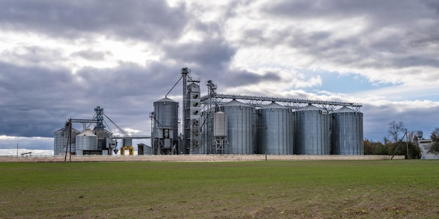 Moderno elevatore per granaio e linea di pulizia delle sementi in silos d'argento su impianto di agroprocessing e produzione per lo stoccaggio e la lavorazione essiccazione pulitura di prodotti agricoli farina cereali e grano