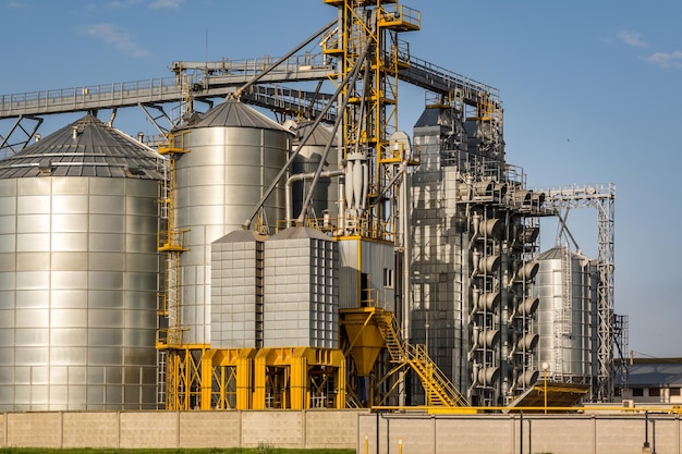 Moderno elevatore per granaio e linea di pulizia delle sementi Silos in argento su impianto di agroprocessing e produzione per lo stoccaggio e la lavorazione essiccazione pulitura di prodotti agricoli farina cereali e grano