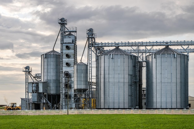 Moderno elevatore per granaio e linea di pulizia delle sementi Silos in argento su impianto di agroprocessing e produzione per lo stoccaggio e la lavorazione essiccazione pulitura di prodotti agricoli farina cereali e grano