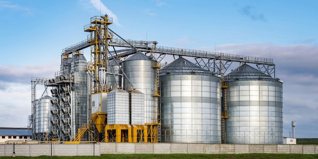 Moderno elevatore per granaio e linea di pulizia delle sementi Silos in argento su impianto di agroprocessing e produzione per lo stoccaggio e la lavorazione essiccazione pulitura di prodotti agricoli farina cereali e grano