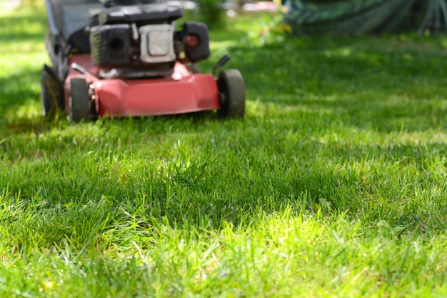 Moderno tosaerba da giardino che taglia erba verde all'aperto