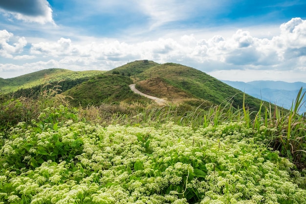 Modo di curva della collina di montagna