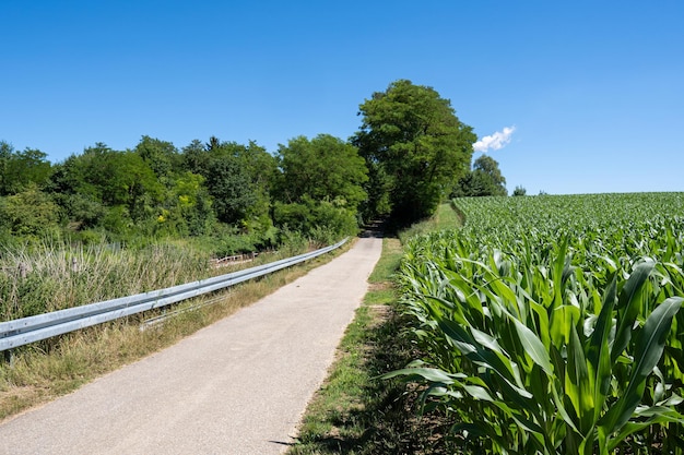 Modo favoloso nel modo del paesaggio avventuroso del turismo naturalistico