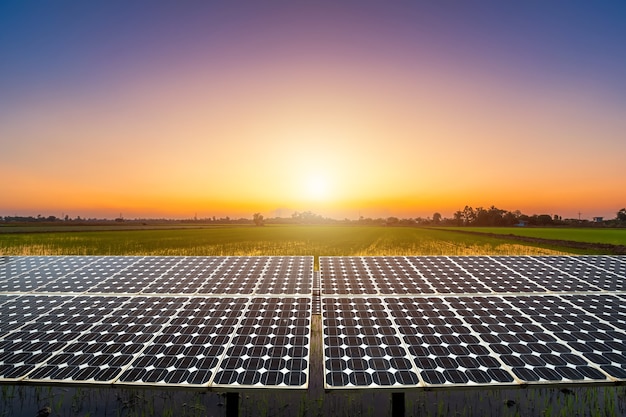 Moduli fotovoltaici centrale solare con vista Cornfield verde e riso dorato con sfondo cielo tramonto drammatico blu serale, concetto di energia alternativa.