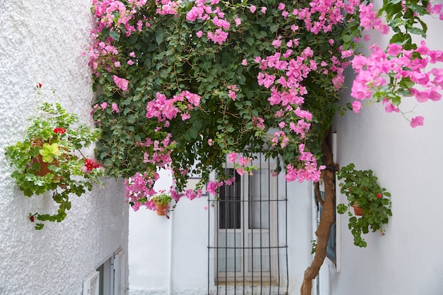 Mojacar Almeria bianco villaggio mediterraneo Spagna