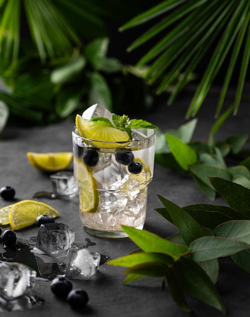 Mojito o limonata con ghiaccio di lime e mirtillo e menta in un bicchiere su uno sfondo scuro con foglie di palma e eucalipto da vicino Il concetto di una bevanda rinfrescante estiva