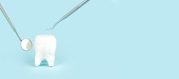 Molare bianco su sfondo blu Modello a dente grande e diversi strumenti per la cura dentale su sfondo blu Concetto dentale professionale