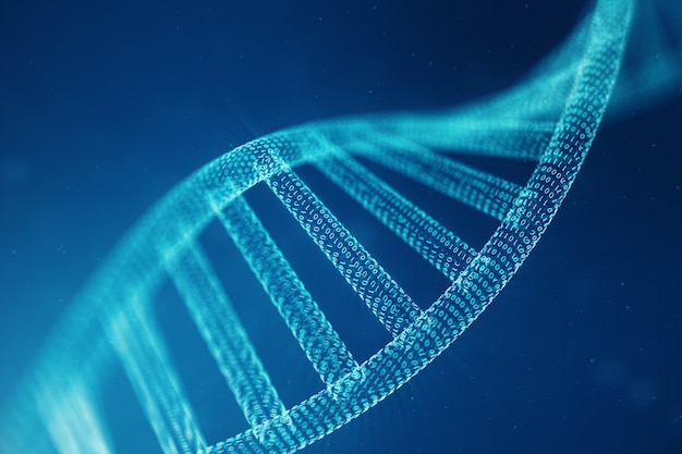 Molecola di DNA digitale, struttura. Concetto di codice binario genoma umano. Molecola di DNA con geni modificati. Illustrazione 3D