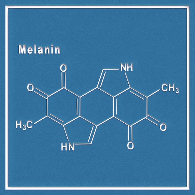 Molecola di melanina, formula chimica strutturale su sfondo bianco