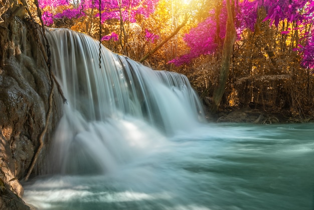 Molla di stagione della natura della cascata in foresta